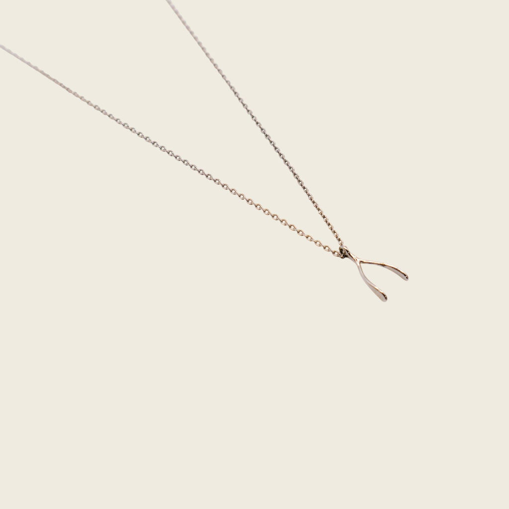 Wishful Silver Necklace – Luxury Silver Statement Necklace